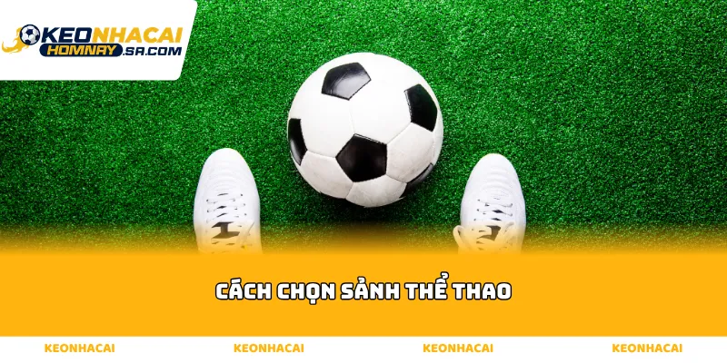 Cách chọn sảnh thể thao