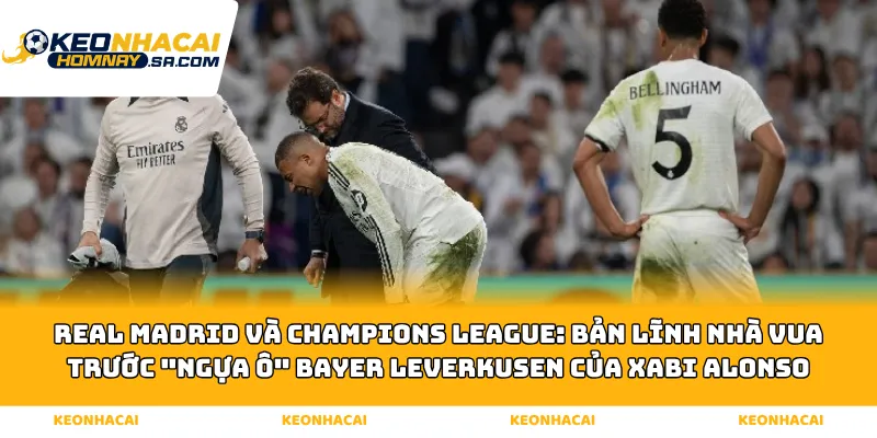 Real Madrid và Champions League: Bản lĩnh nhà vua trước "Ngựa ô" Bayer Leverkusen của Xabi Alonso