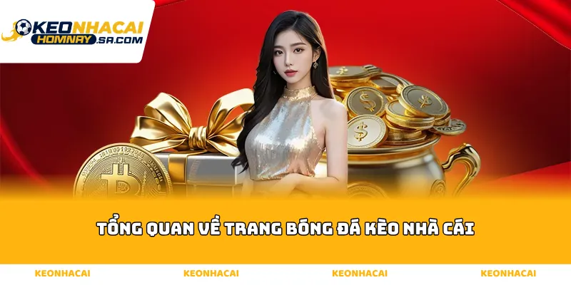 Tổng quan về trang bóng đá kèo nhà cái